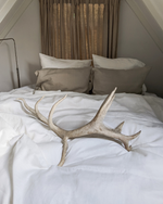 Load image into Gallery viewer, White bedding set from soft linen
